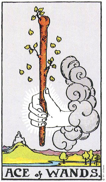 O que significa a carta (Ás De Paus) no Tarot