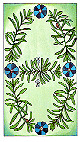 Design do verso das cartas do baralho de Tarot das Ervas